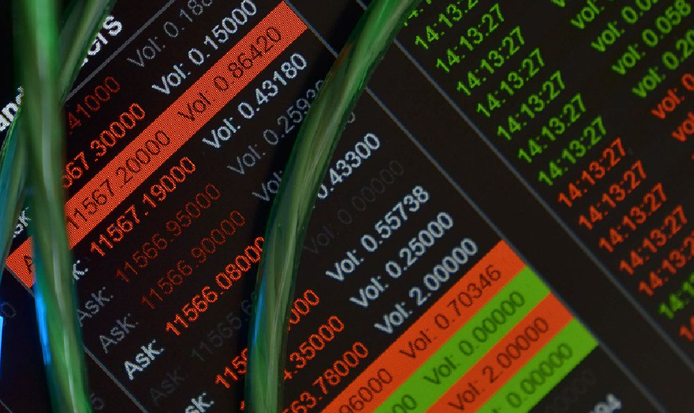What stocks does Trump invest in, and why does it matter?