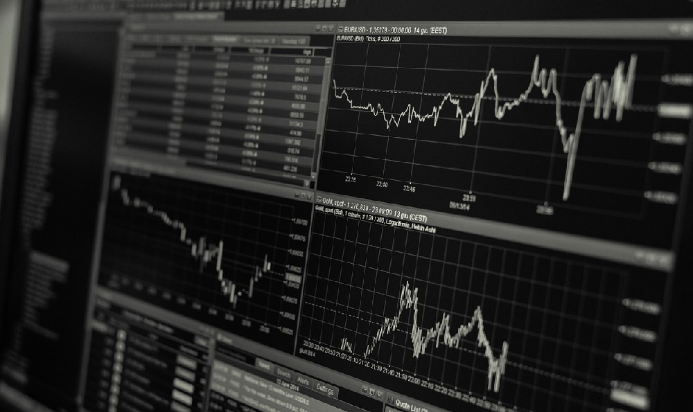 What is an Investment Advisor and What Do They Do?