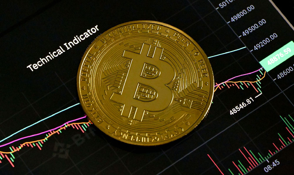 What investment options are available, and how do they work?