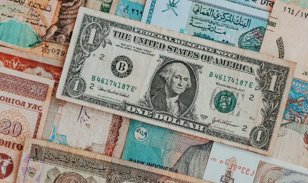 Can blogging be profitable? How much can you actually earn?