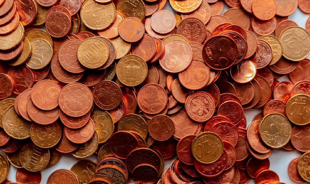 How Much Do Survivor Contestants Earn: Salary or Prize?